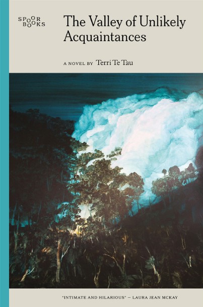 The Valley of Unlikely Acquaintances by Terri Te Tau
